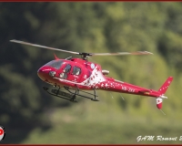 TSR Watermark - 0396